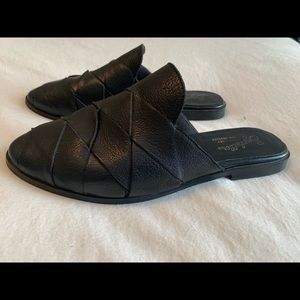 Seychelles black mules